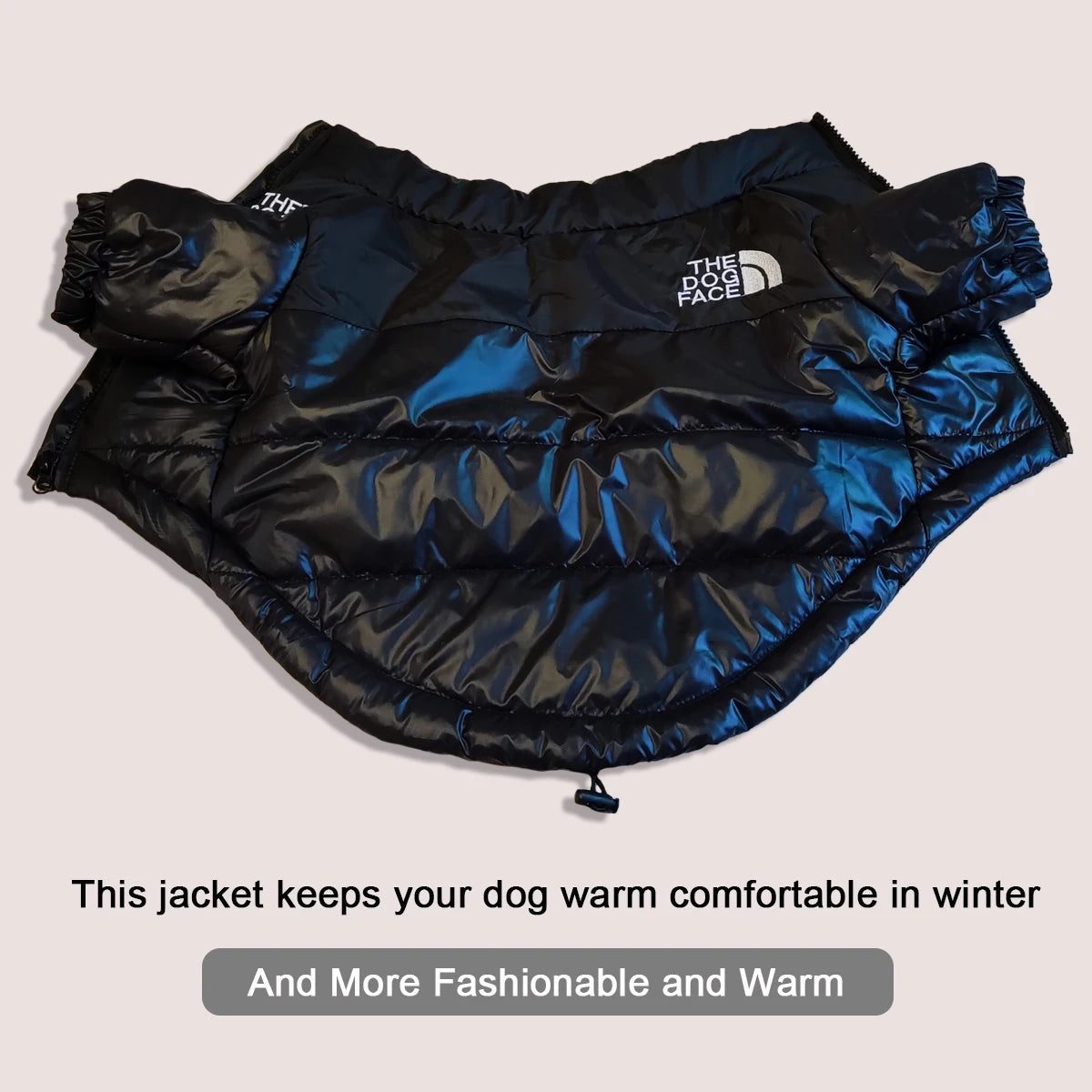 Veste d'hiver, coupe-vent pour chiens