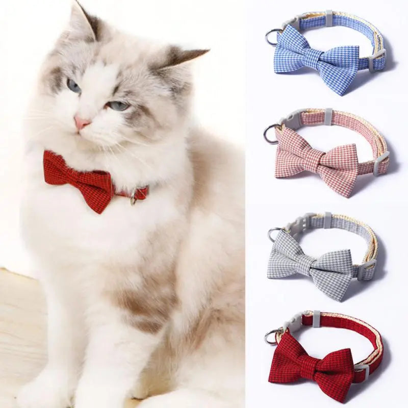 Collier nœud papillon pour chat et petit chien