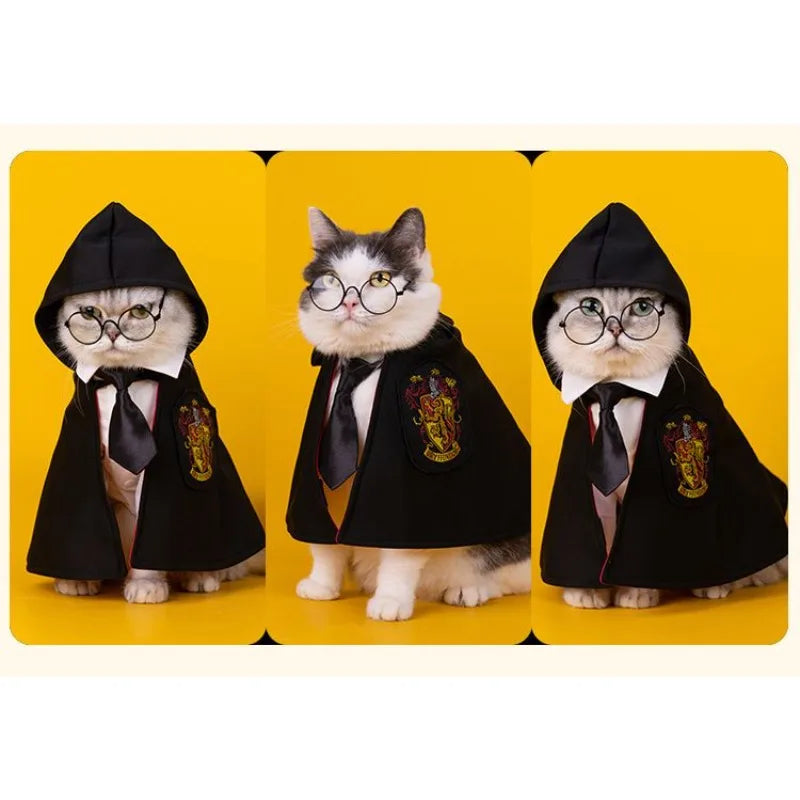 Costume Académie de la magie pour animaux de compagnie