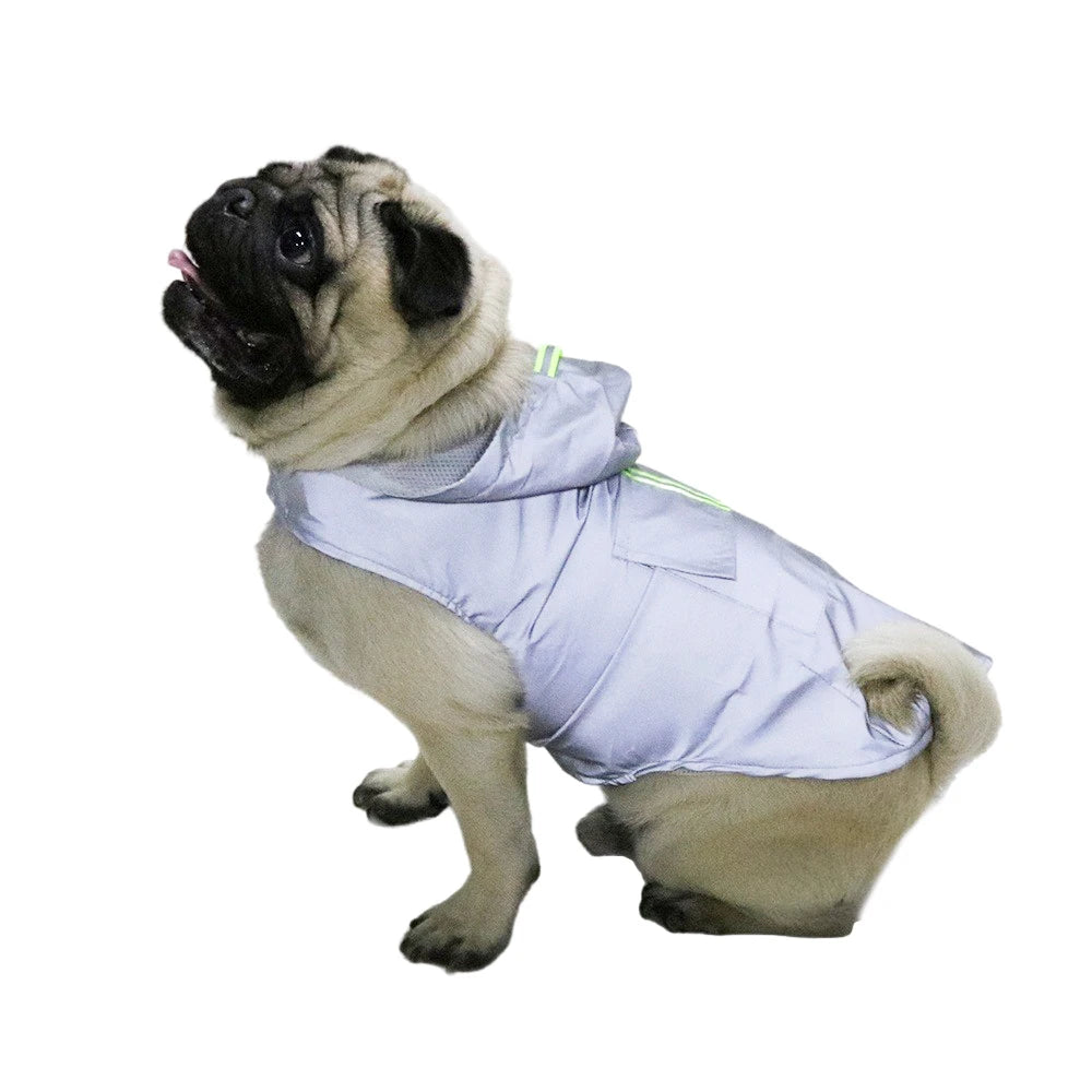 Imperméable pour chien