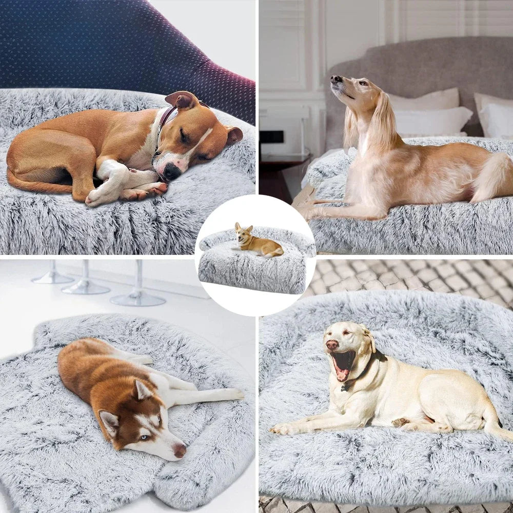 Lit pour animaux de compagnie en peluche amovible pour canapé ou lit d'interieur