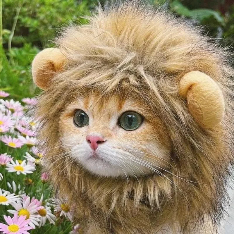 Bonnet capuche perruque de lion amusant pour chat