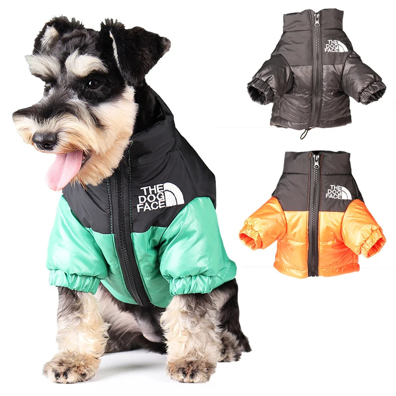 Veste d'hiver, coupe-vent pour chiens