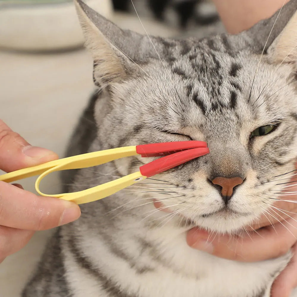 Brosse de nettoyage pour les yeux de chien et chat