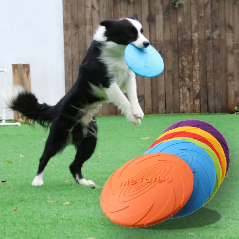 Frisbee, disque volant pour chien