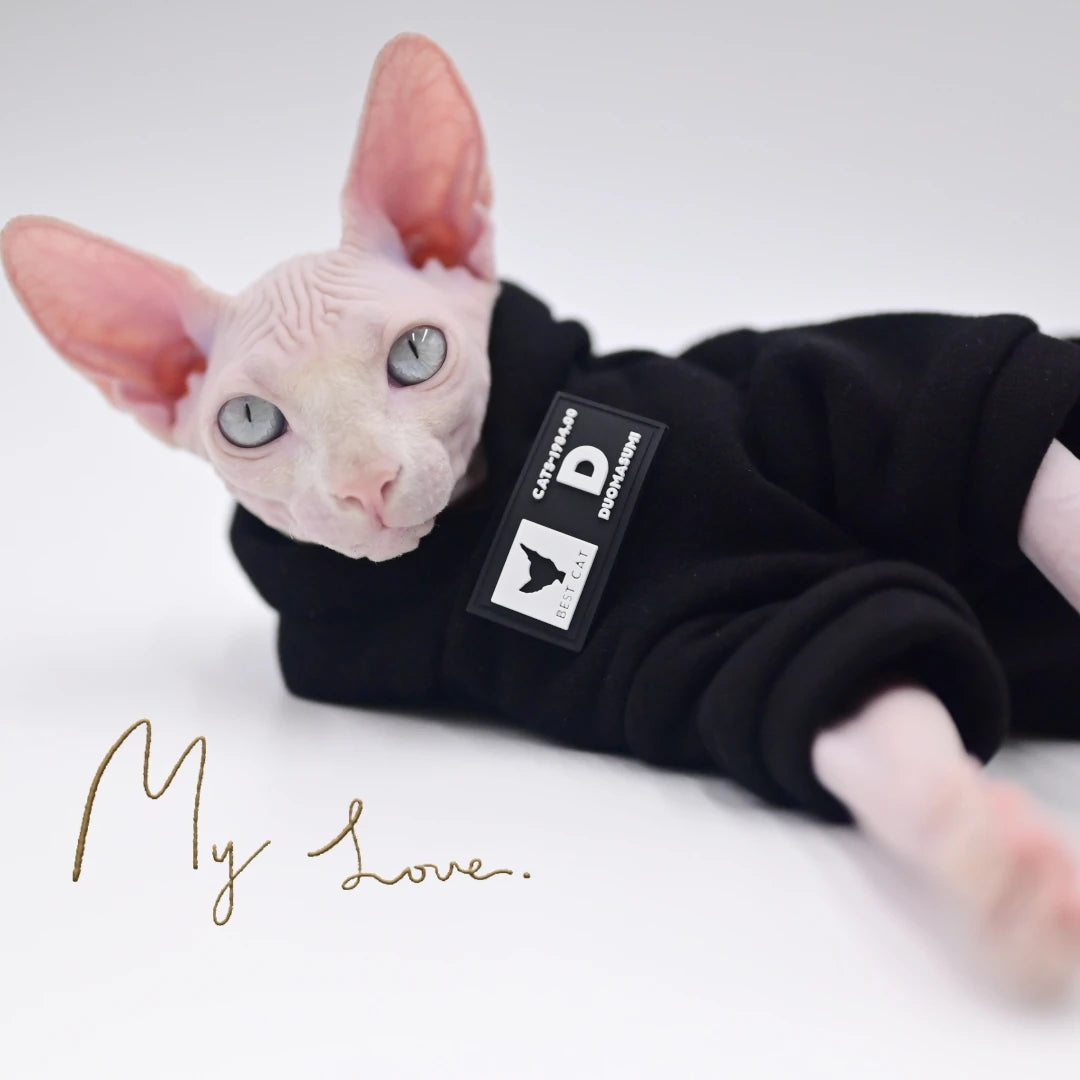 Pull fashion pour chat