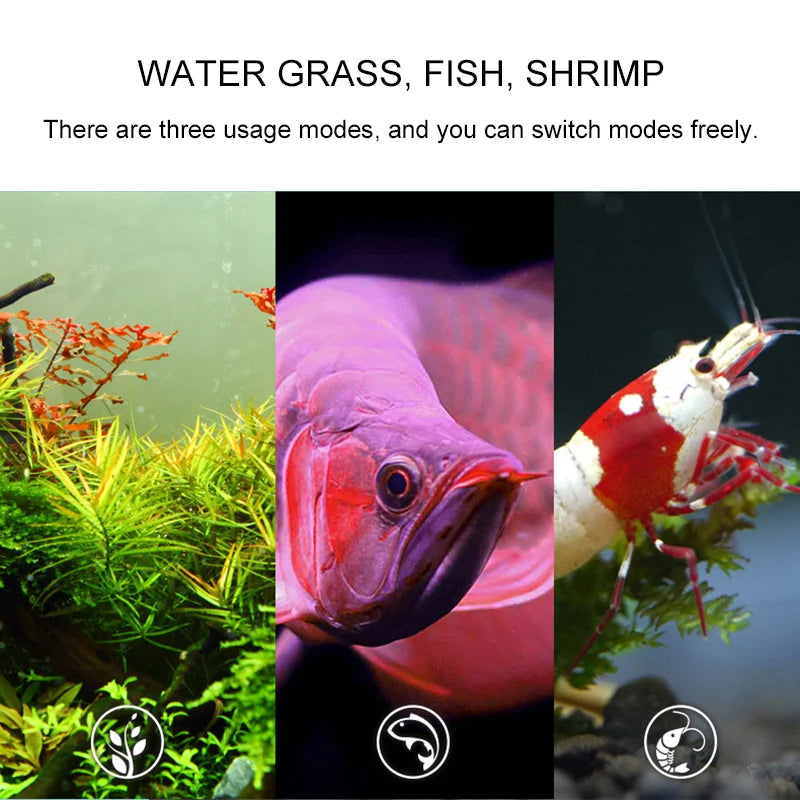 Suppresseur d'algues pour aquarium / Prise AU
