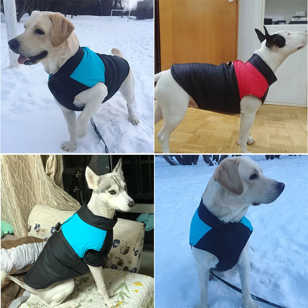 Veste d'hiver chaude et imperméable pour chien