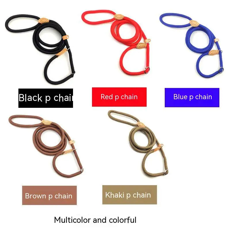 laisse avec collier intégré réglable pour chien