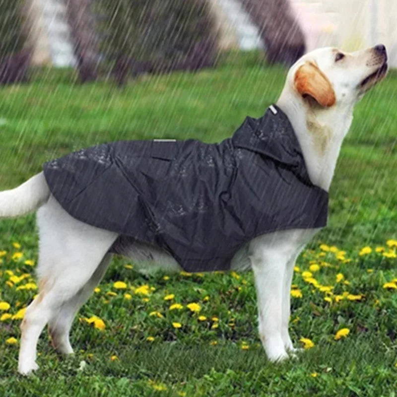 Imperméable pour chien