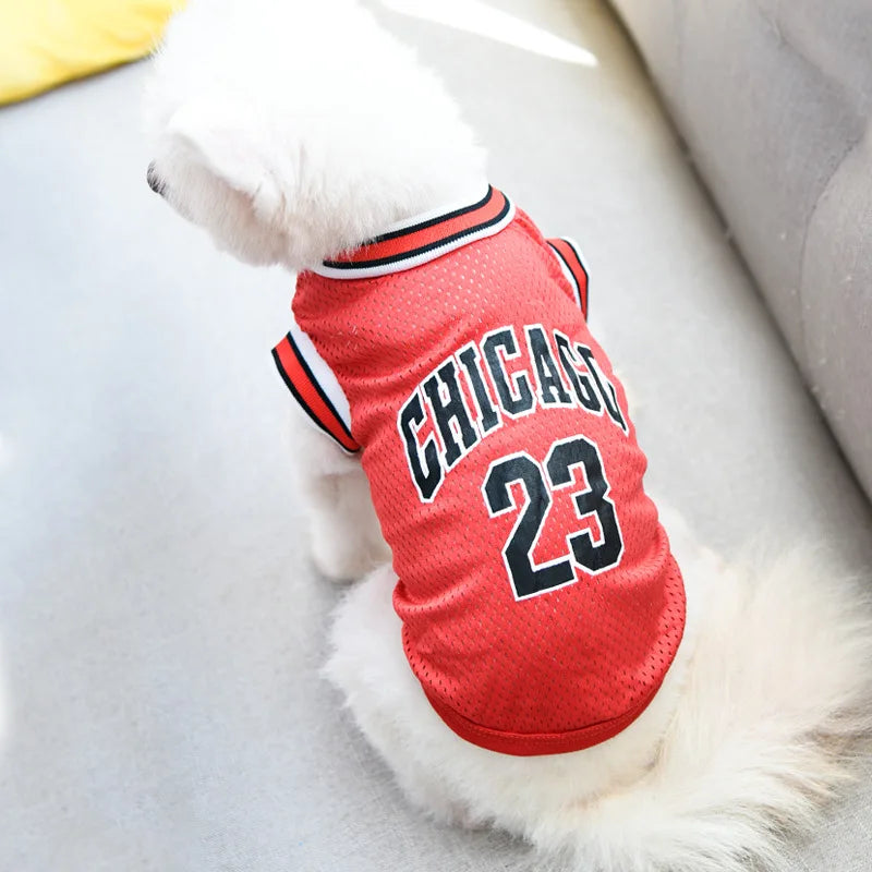 Gilet Basketball US pour chien et chat