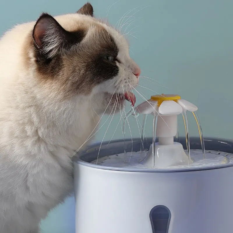 Fontaine à eau pour animaux de compagnie de 2,4 L avec filtres à charbon actif