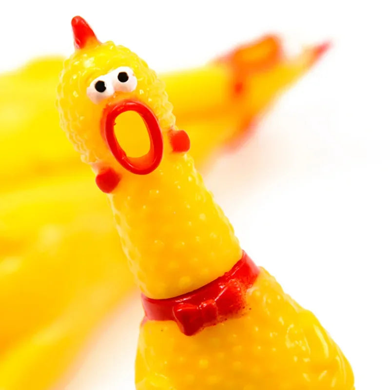 Poulet hurlant, jouet  couineur pour chien