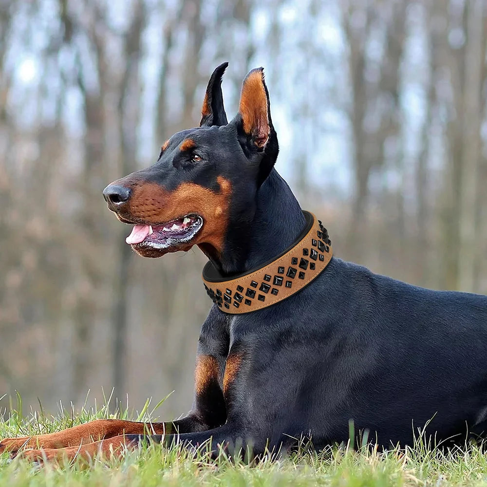 Collier pour chien en cuir avec rivets et clous