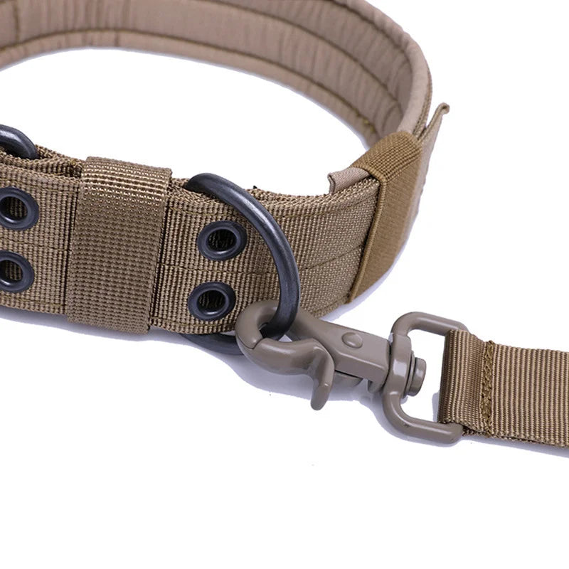 Collier réglable style militaire tactique pour chien