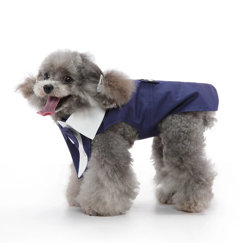 Costume de smoking, déguisement pour chien et chat