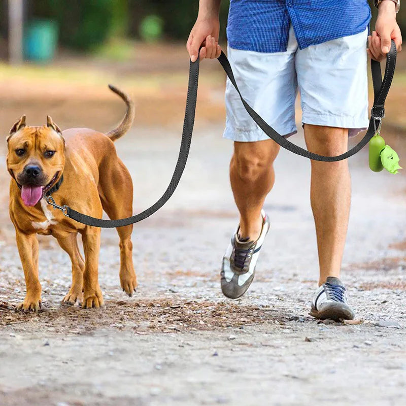 Laisse de promenade au couture réfléchissante pour chien