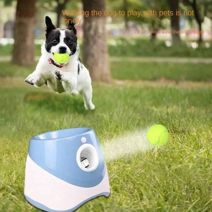 Lanceur de balle automatique pour chien